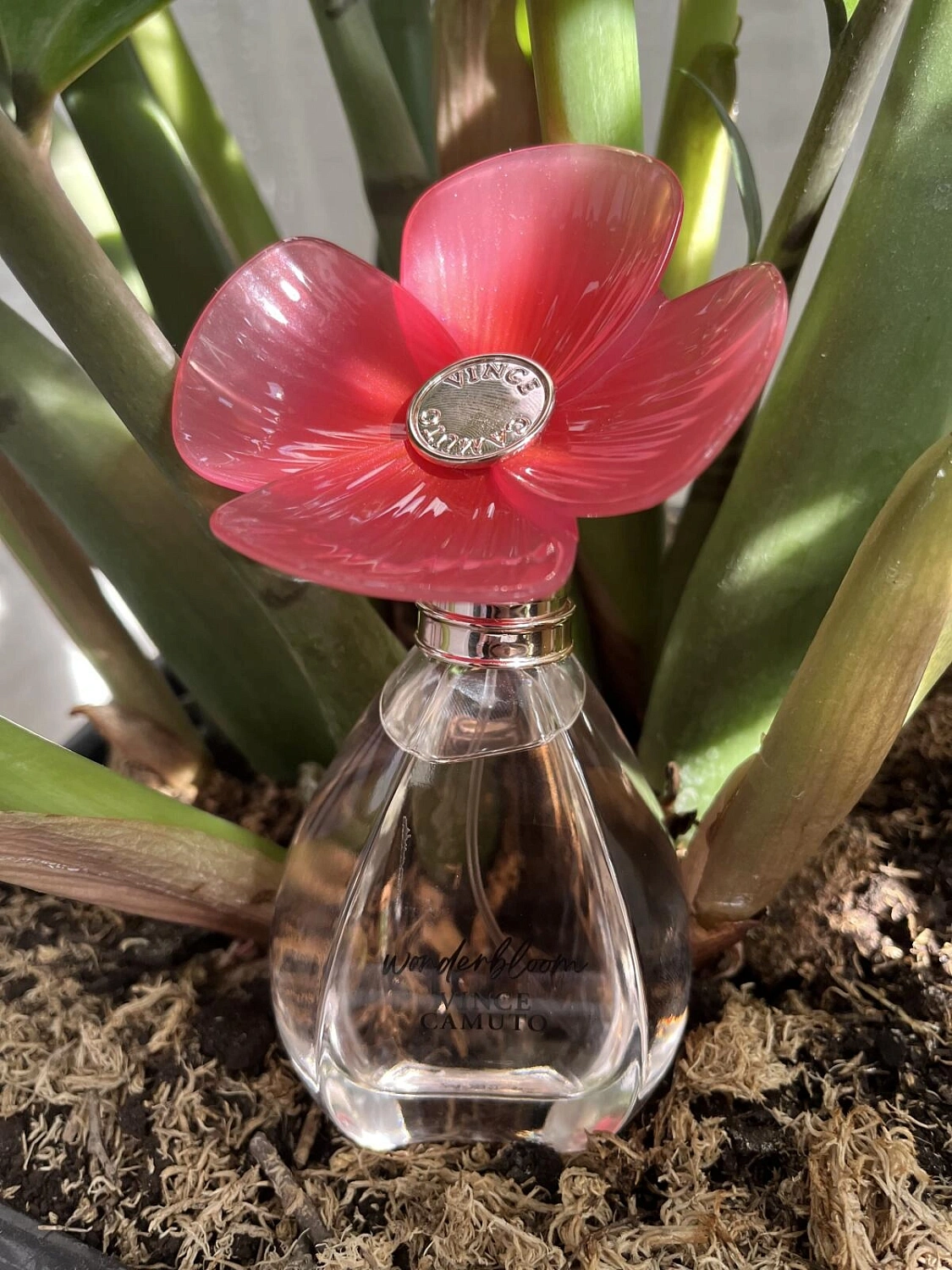 Vince Camuto Wonderbloom