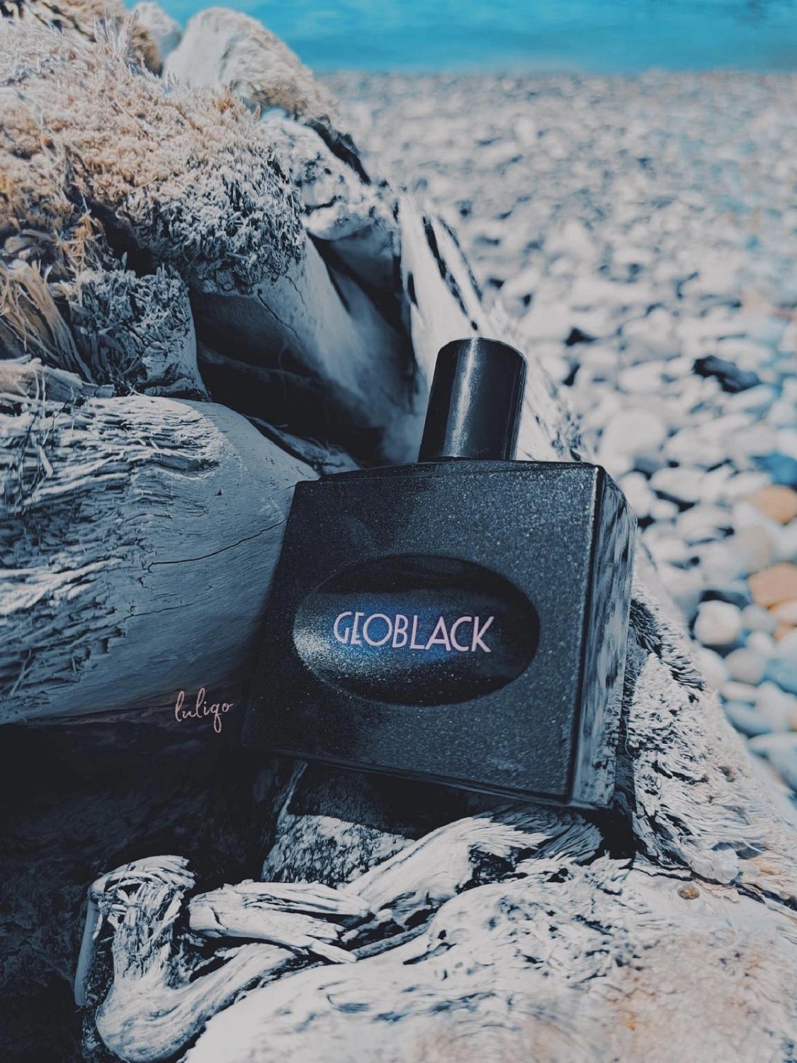 Alviero Martini GeoBlack Woman