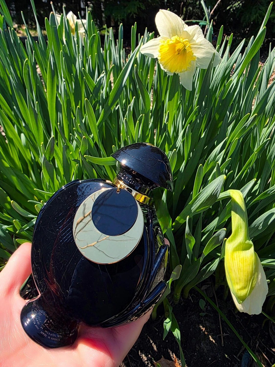 Paco Rabanne Olympea Absolu