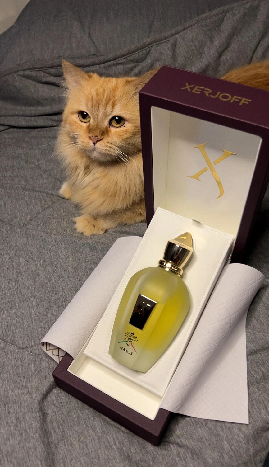 Xerjoff XJ 1861 Naxos