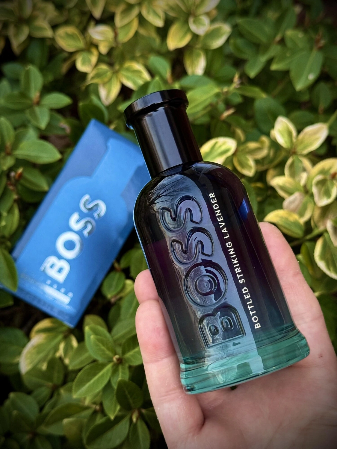 Hugo Boss Bottled Striking Lavender