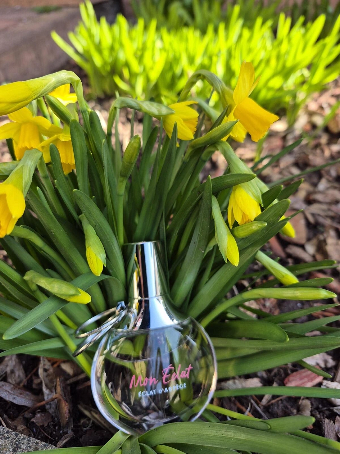 Lanvin Eclat d'Arpege Mon Eclat