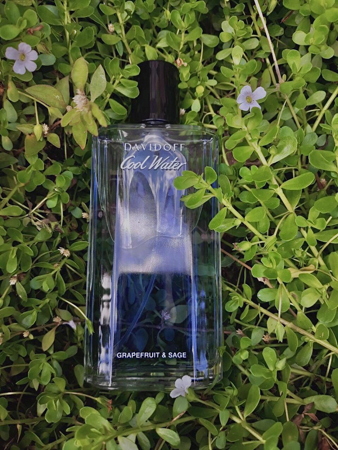 Davidoff Cool Water Grapefruit & Sage