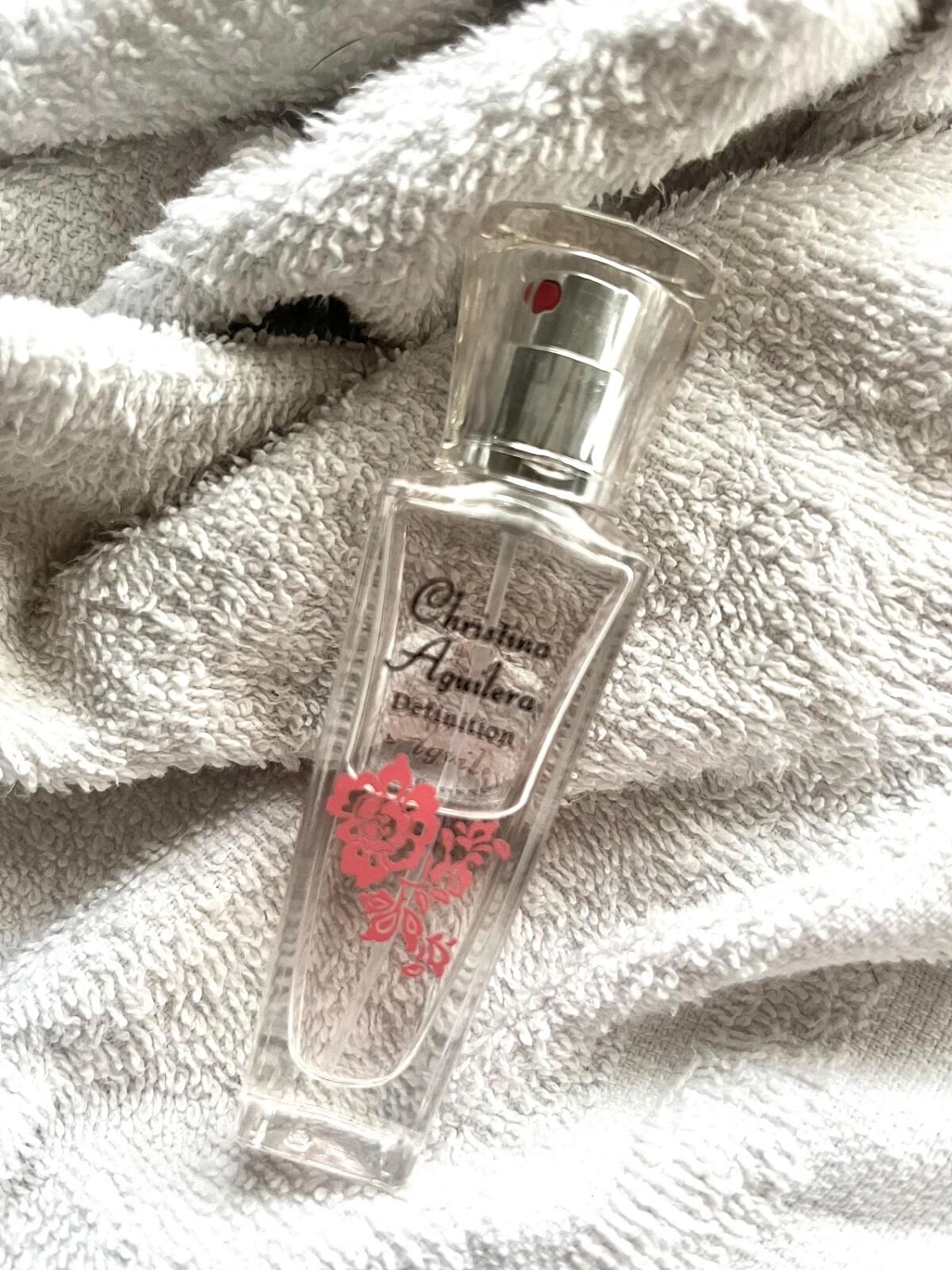 Christina Aguilera Definition