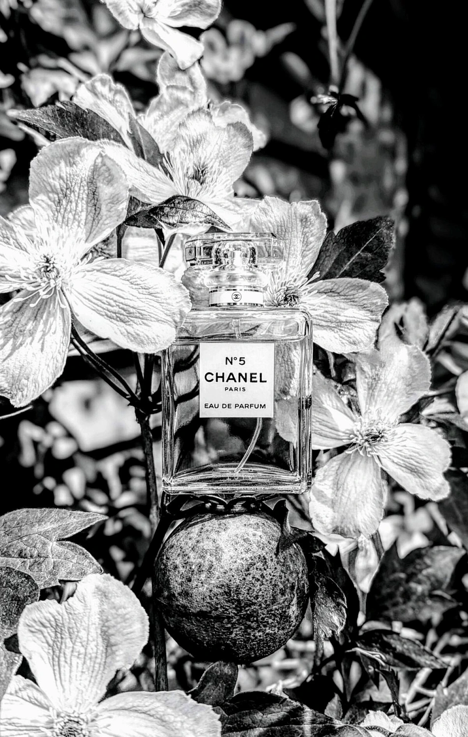Chanel №5