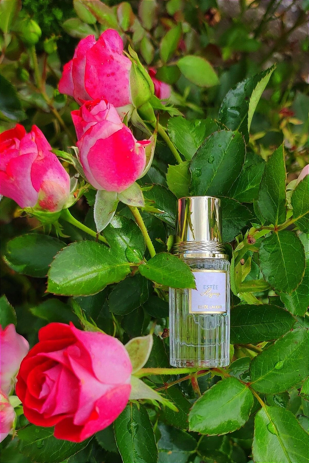 Estée Lauder Estee Legacy