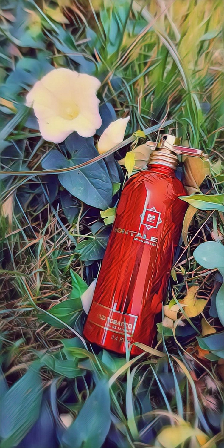 Montale Oud Tobacco