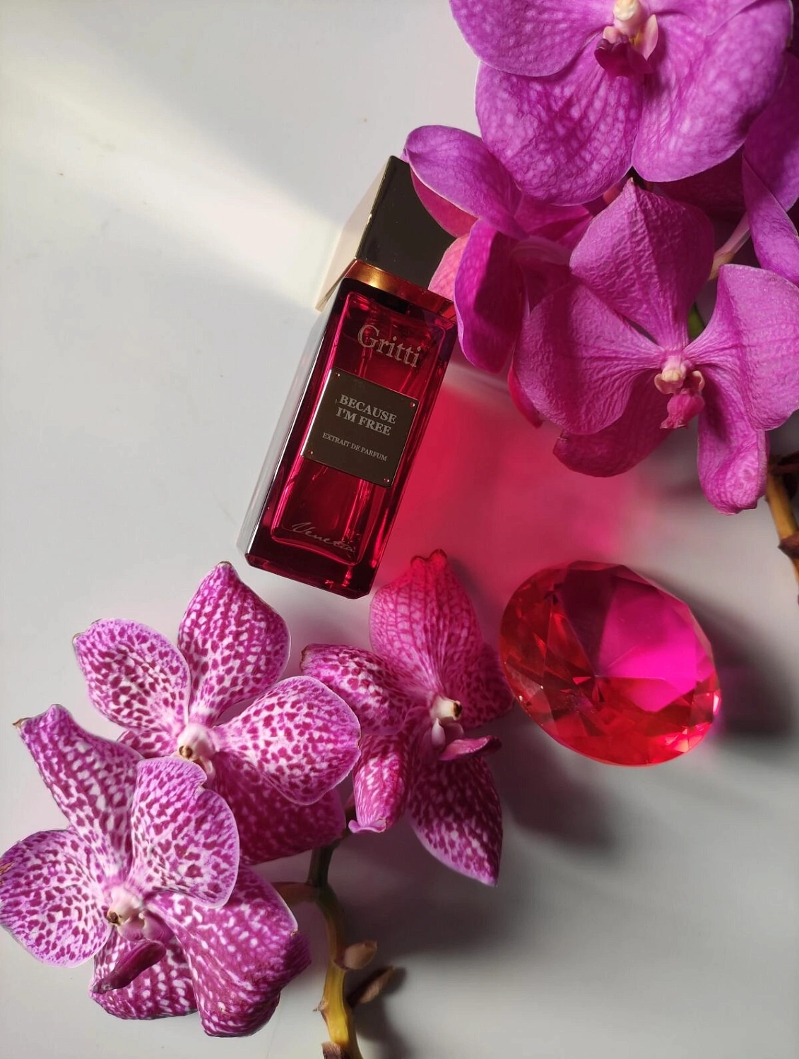 Gritti Because I Am Free