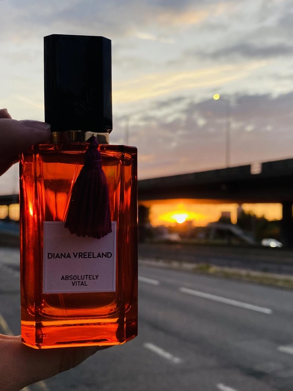 Diana Vreeland Absolutely Vital