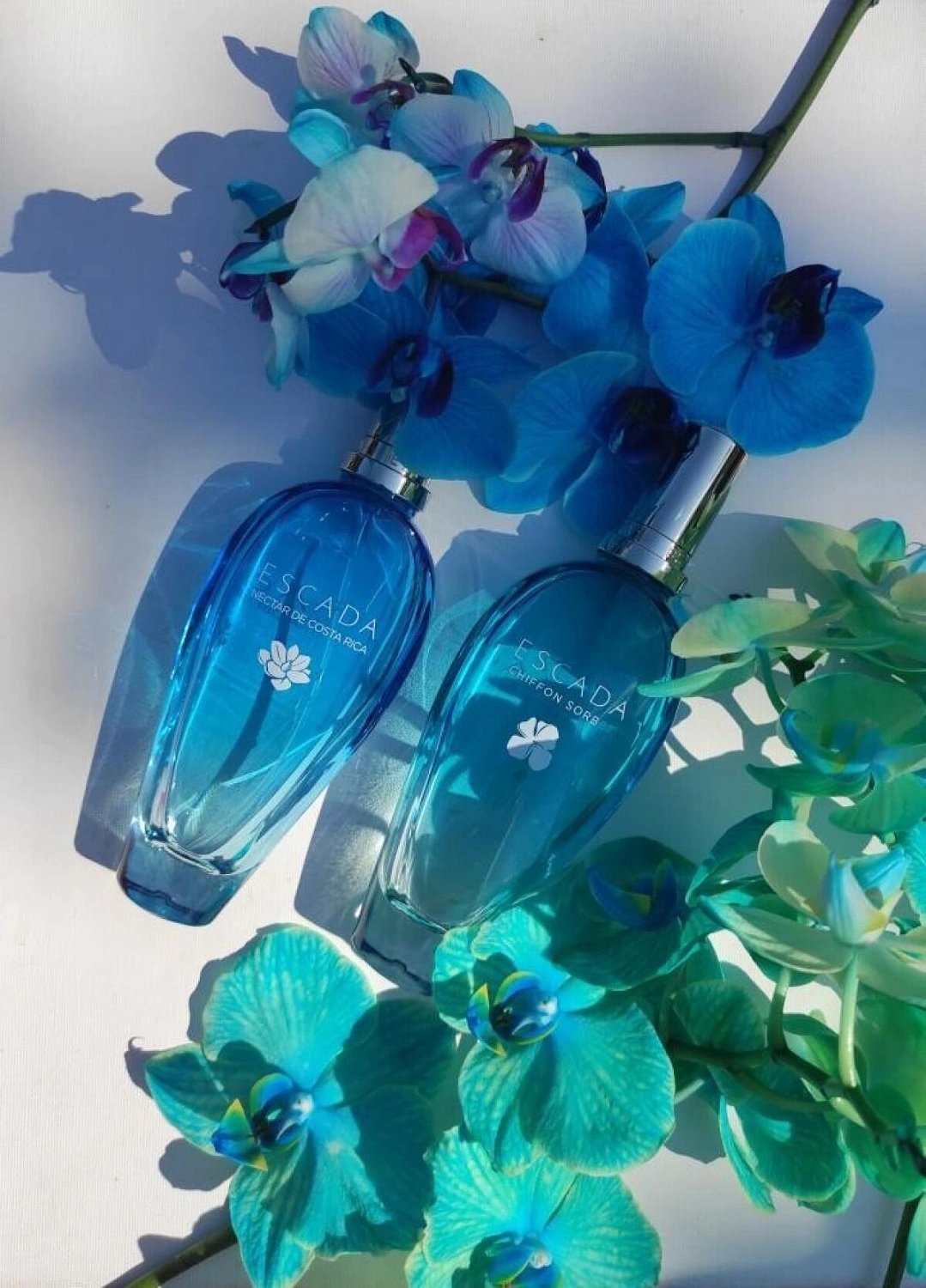 Escada Nectar de Costa Rica