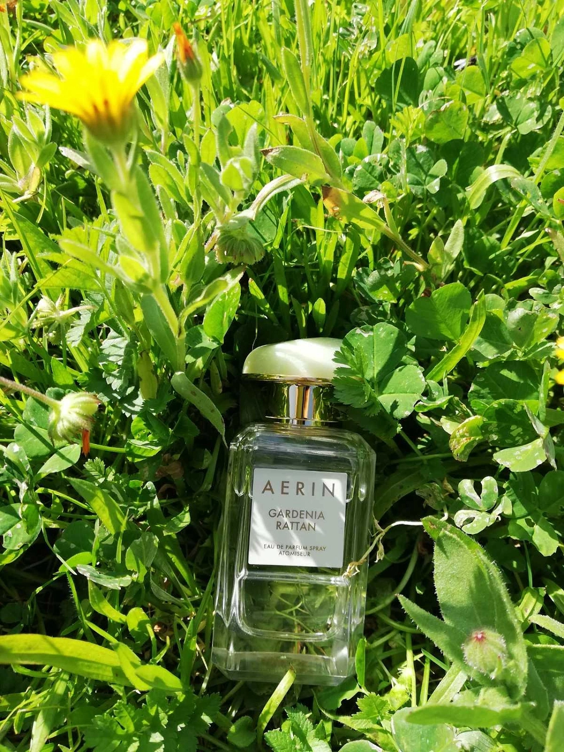 AERIN Gardenia Rattan AERIN Gardenia Rattan
