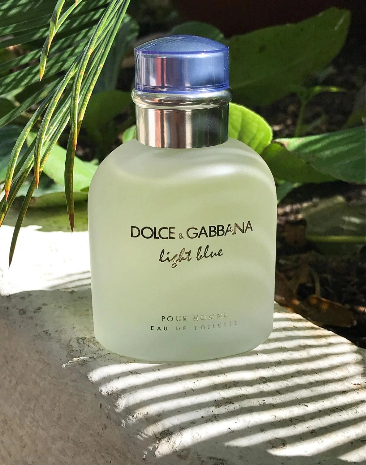 DOLCE & GABBANA Light Blue Pour Homme