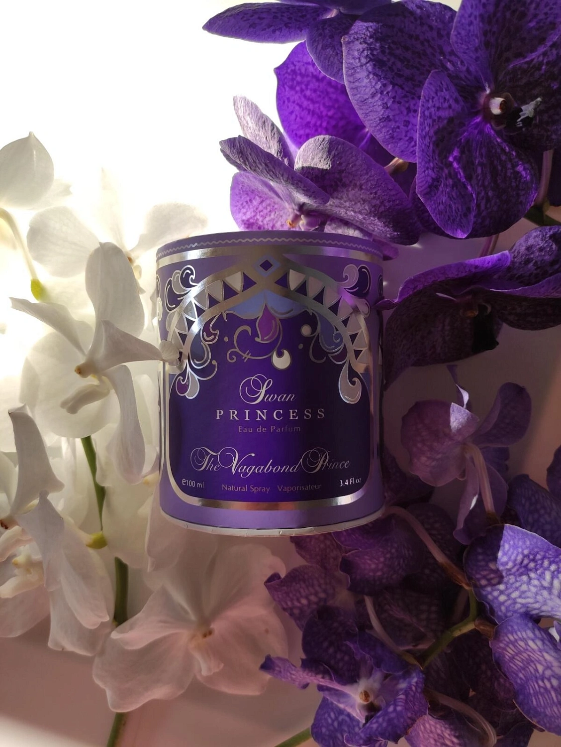 The Vagabond Prince Swan Princess