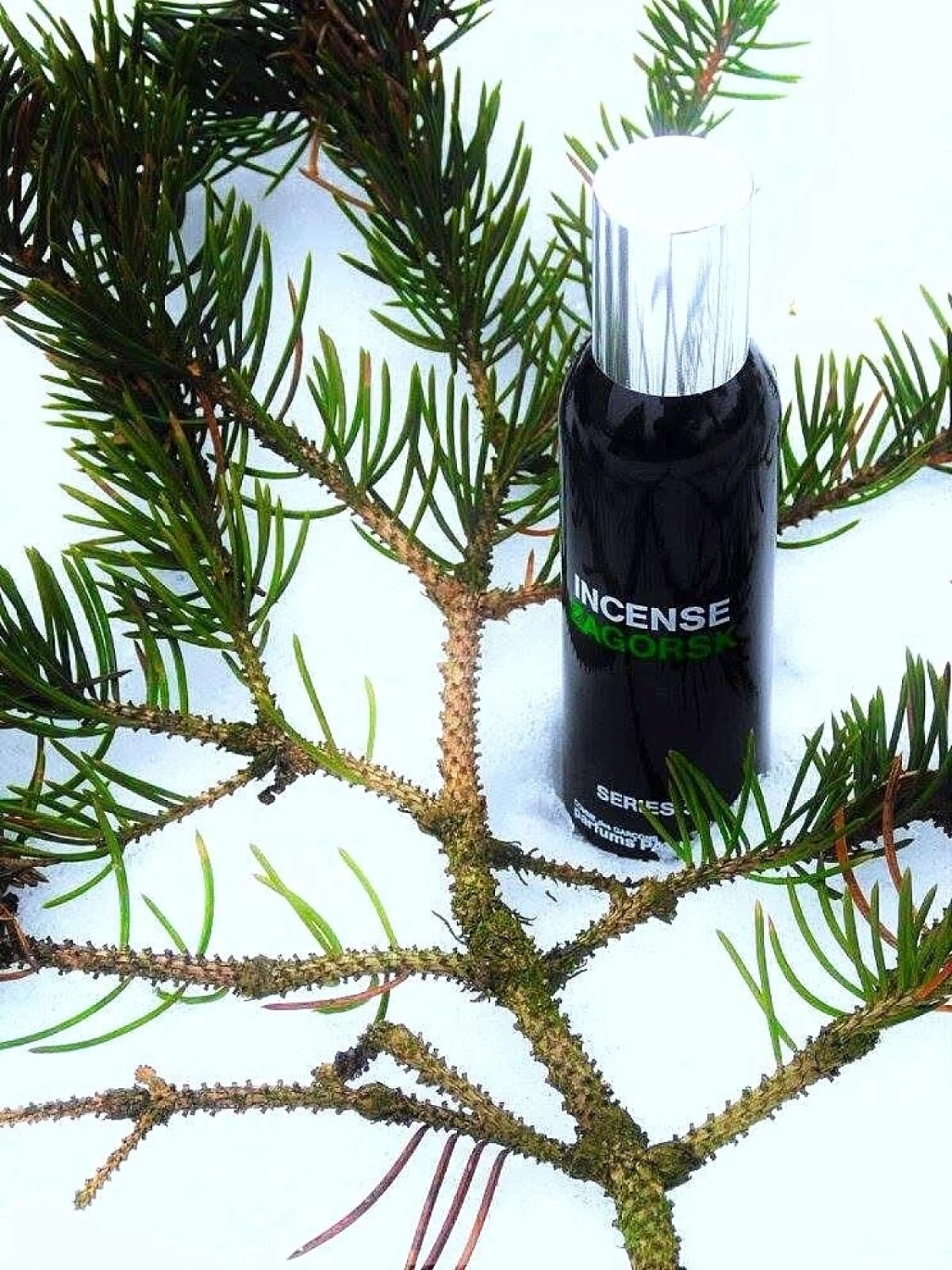 Comme des Garcons Series 3: Incense Zagorsk