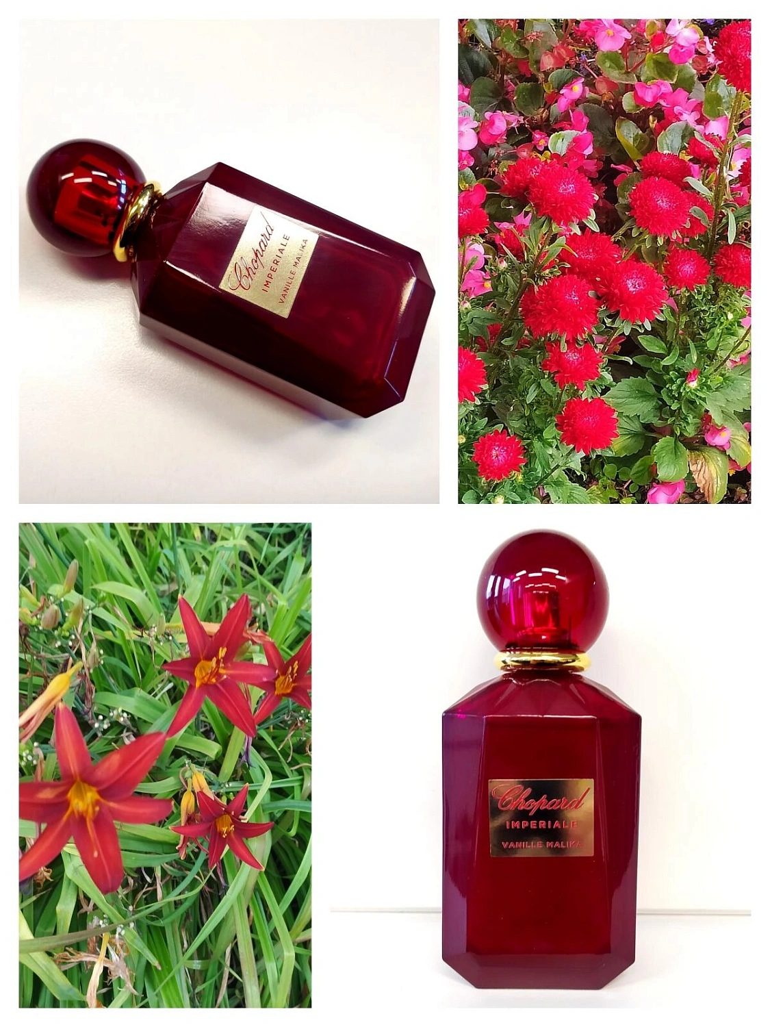 Chopard Vanille Malika