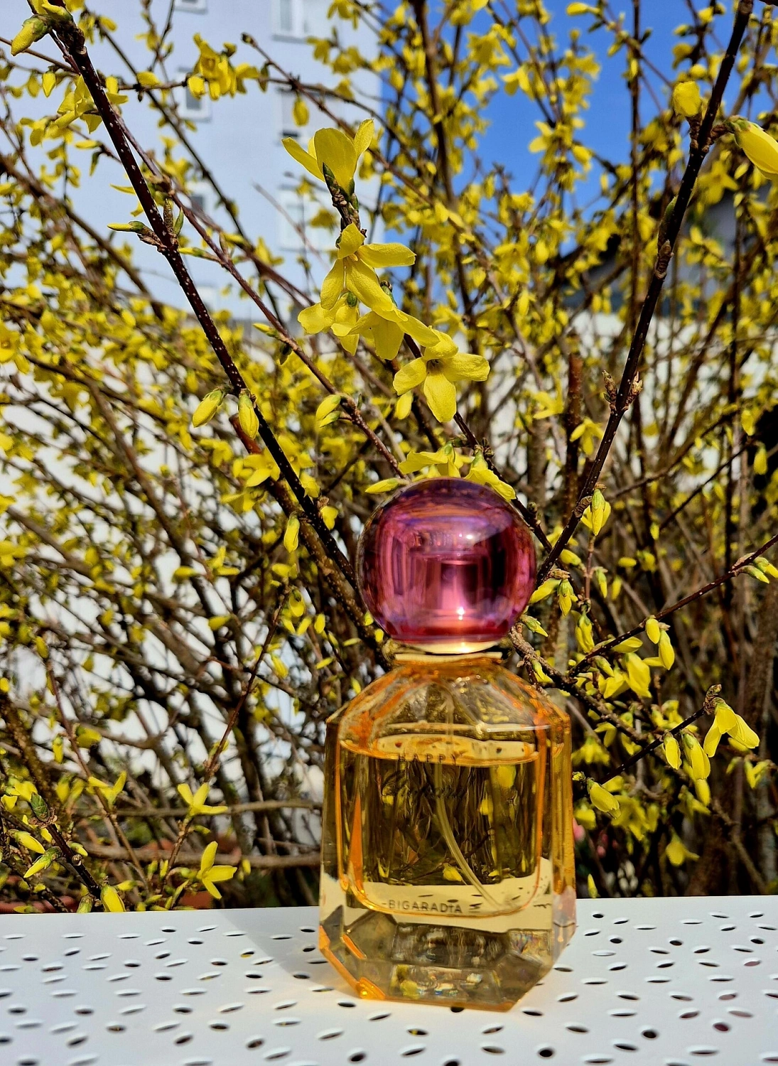 Happy Chopard Bigaradia