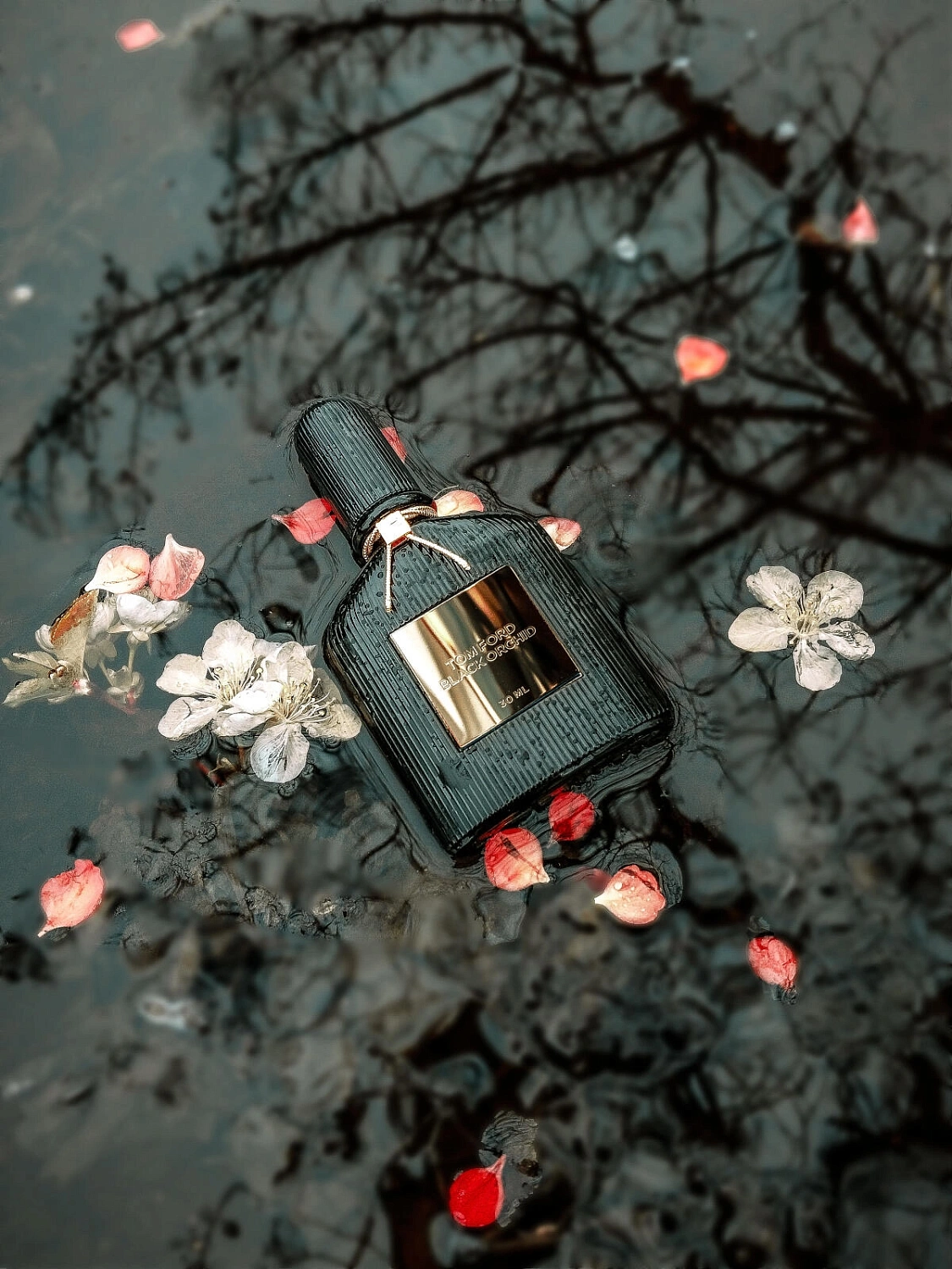 Tom Ford Black Orchid