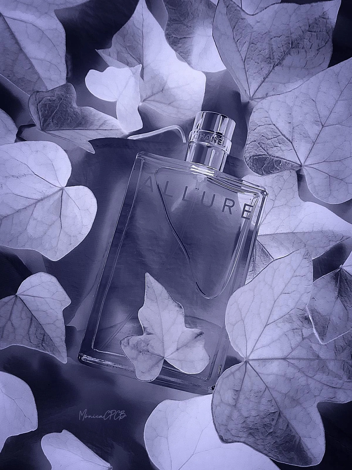 Chanel Allure Chanel Allure