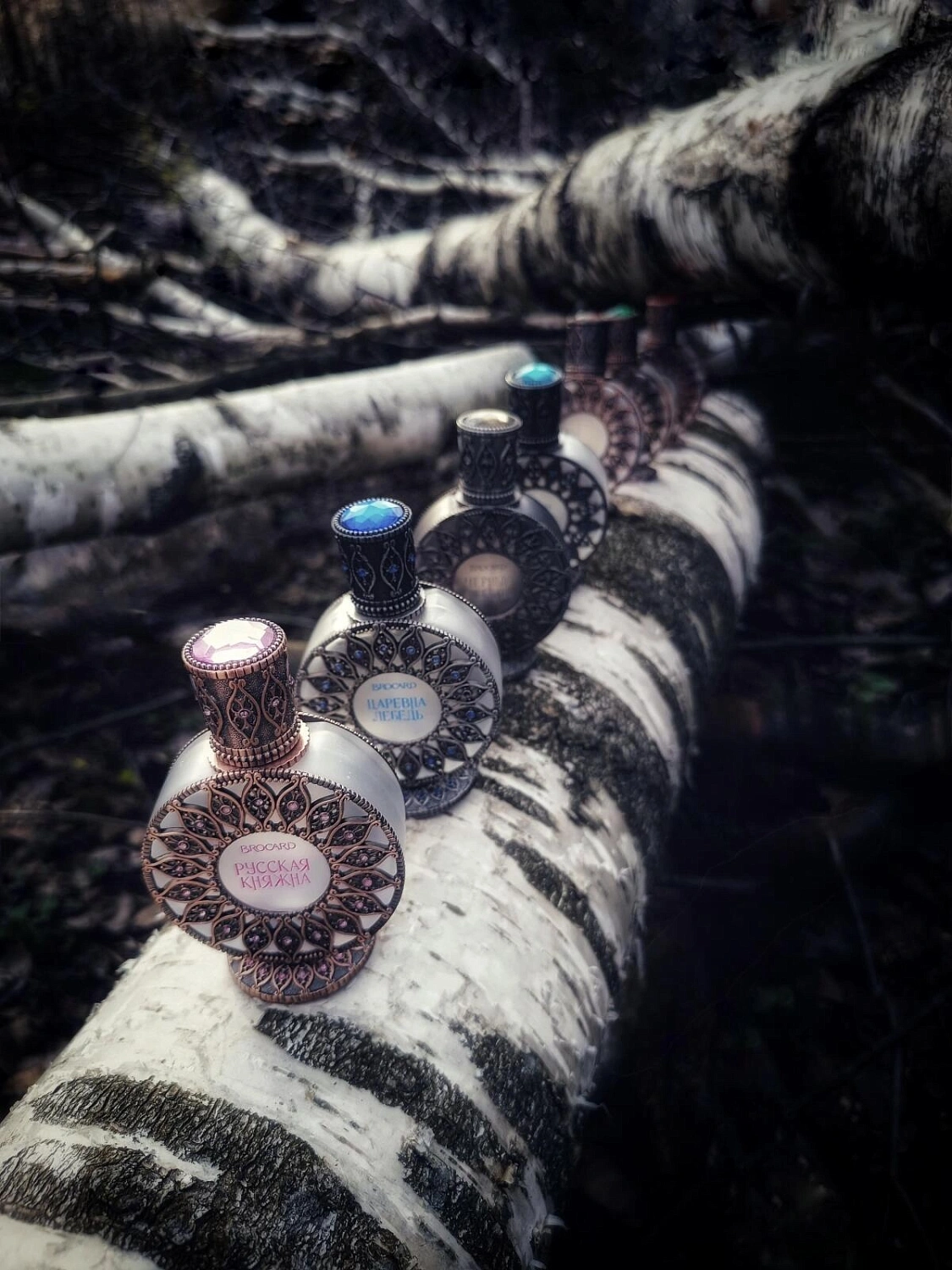 Brocard Василиса Прекрасная