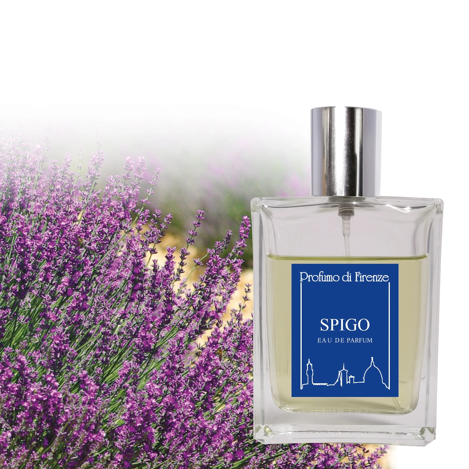 Profumo di Firenze Spigo Profumo di Firenze Spigo