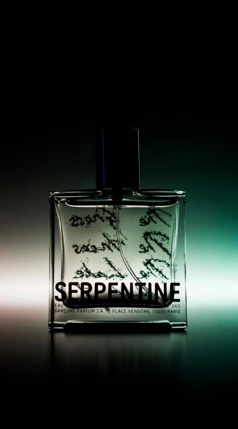 Comme des Garcons Serpentine Comme des Garcons Serpentine