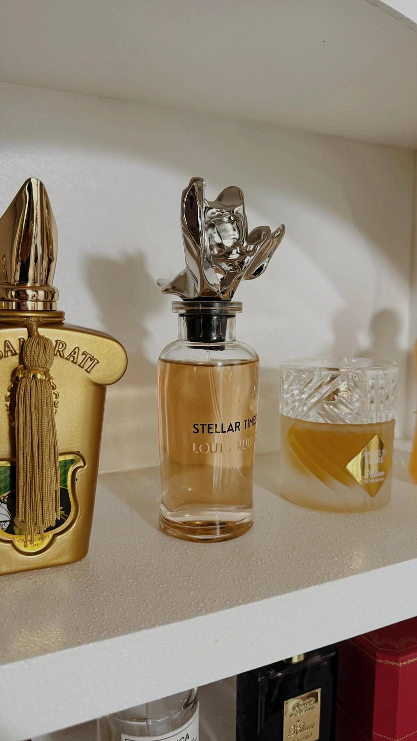 Louis Vuitton Stellar Times