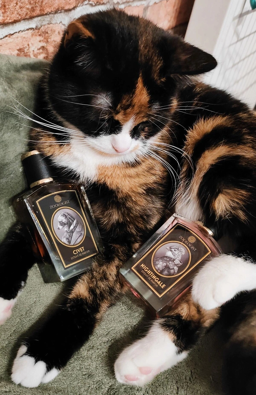 Zoologist Perfumes Civet