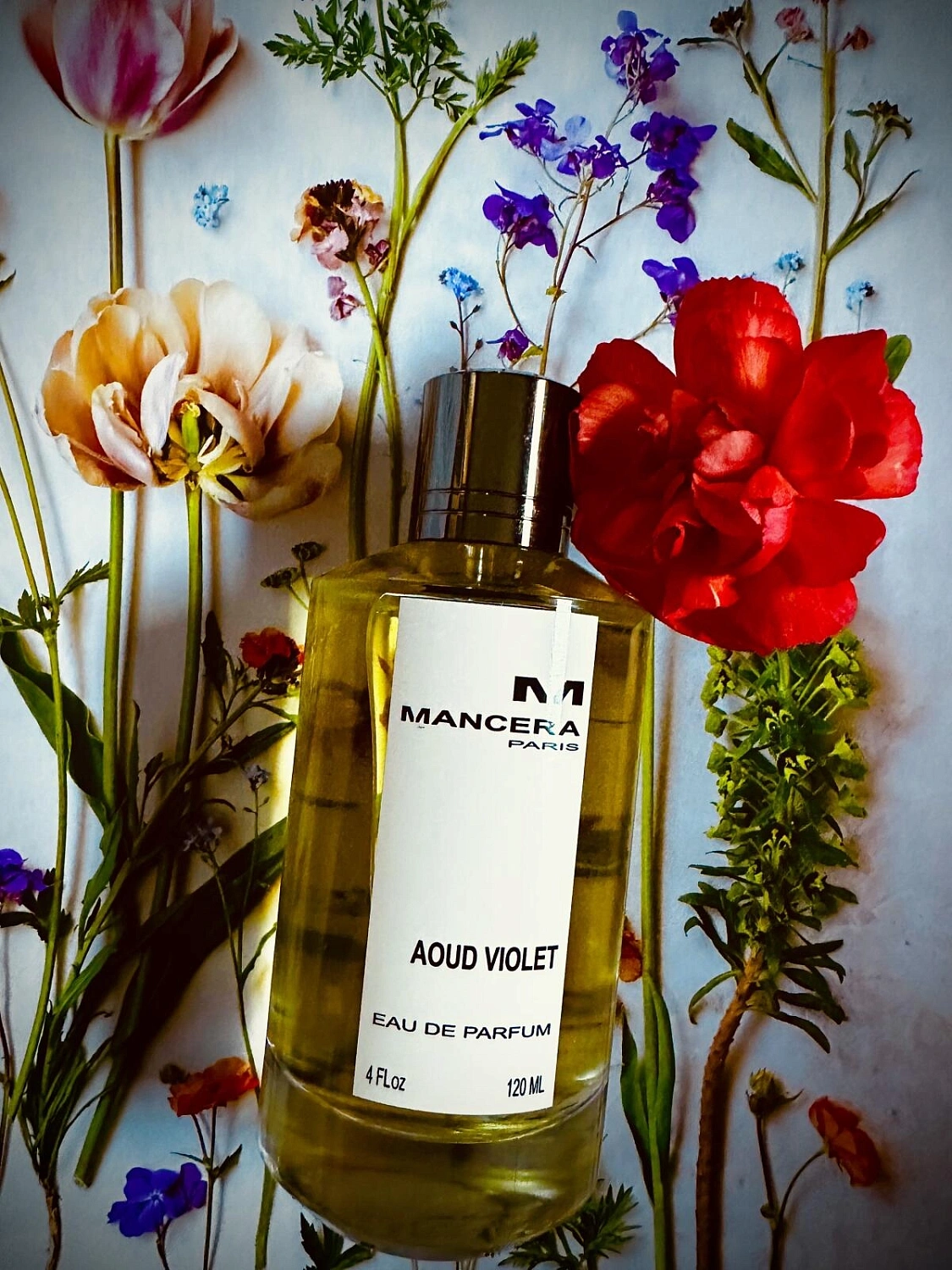Mancera Aoud Violet Mancera Aoud Violet