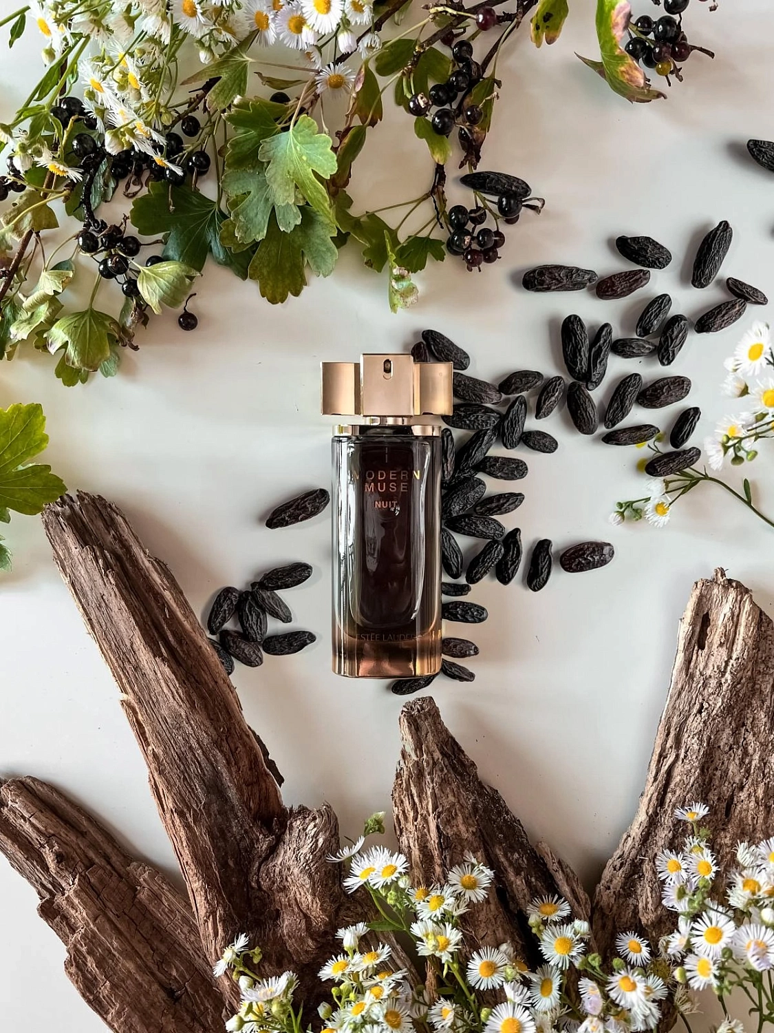 Estee Lauder Modern Muse Nuit Estee Lauder Modern Muse Nuit