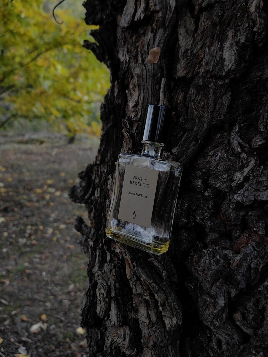 Naomi Goodsir Nuit de Bakelite