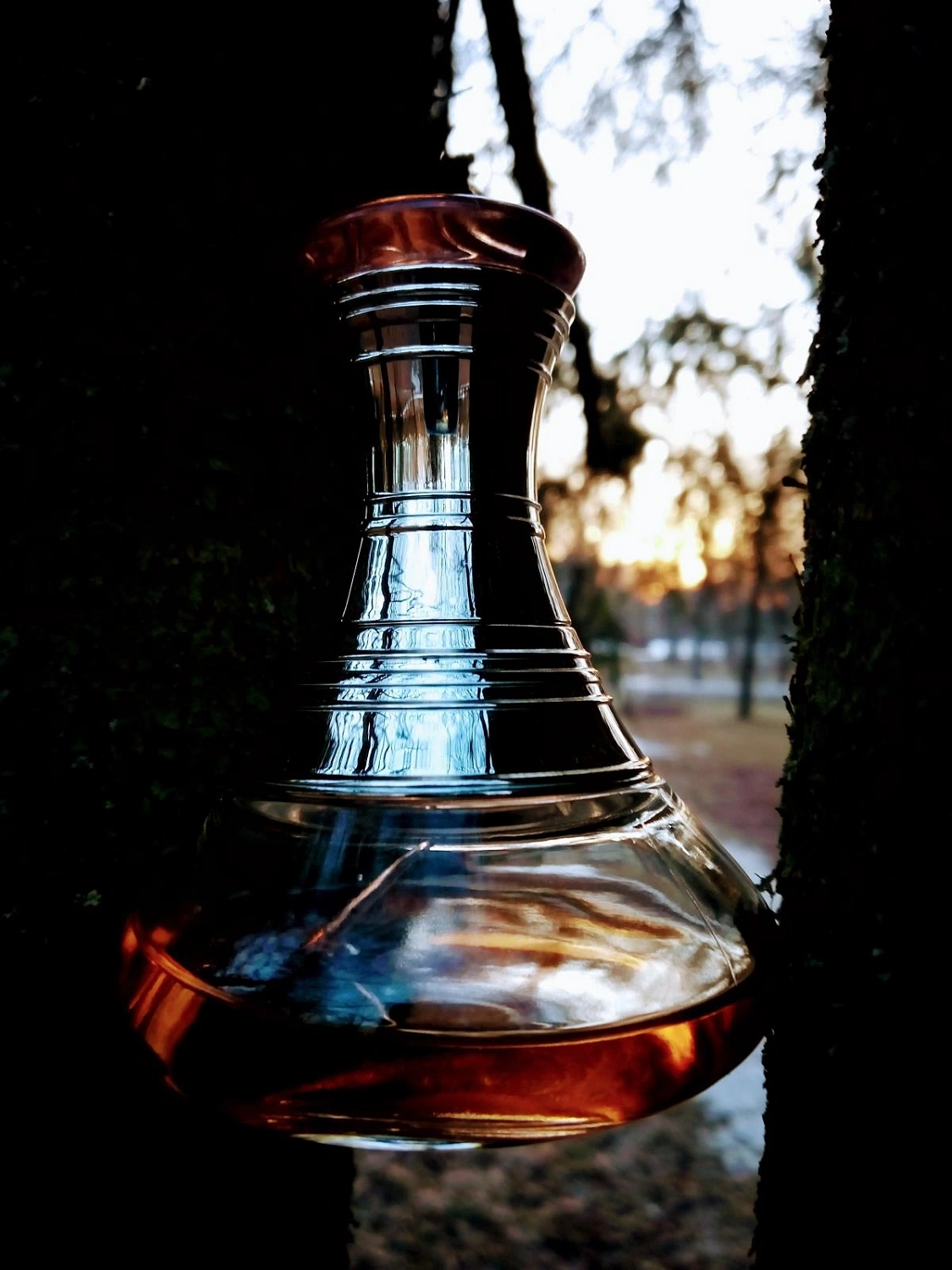 Shakira Elixir Shakira Elixir