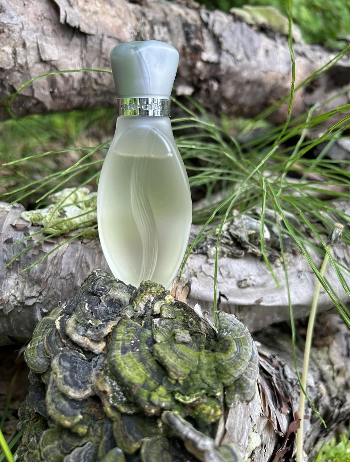 Cafe Parfums Cafe-Cafe Pour Homme