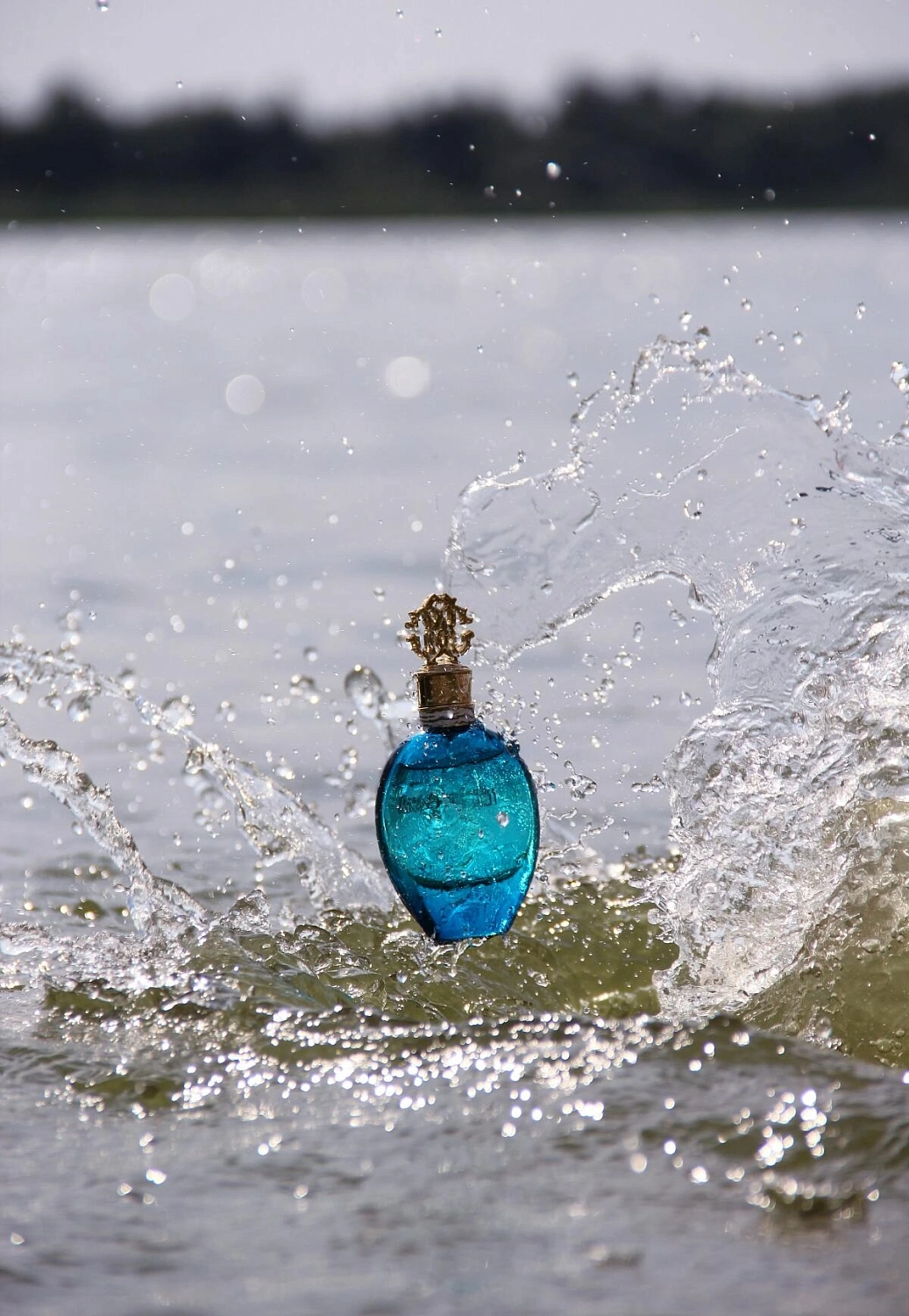 Roberto Cavalli Acqua