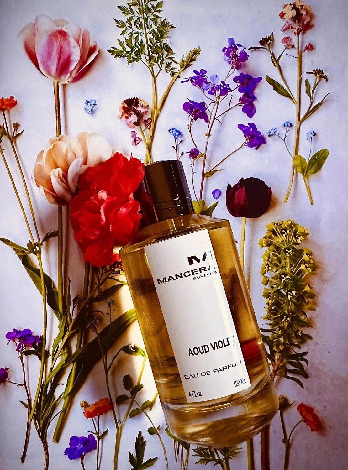 Mancera Aoud Violet Mancera Aoud Violet