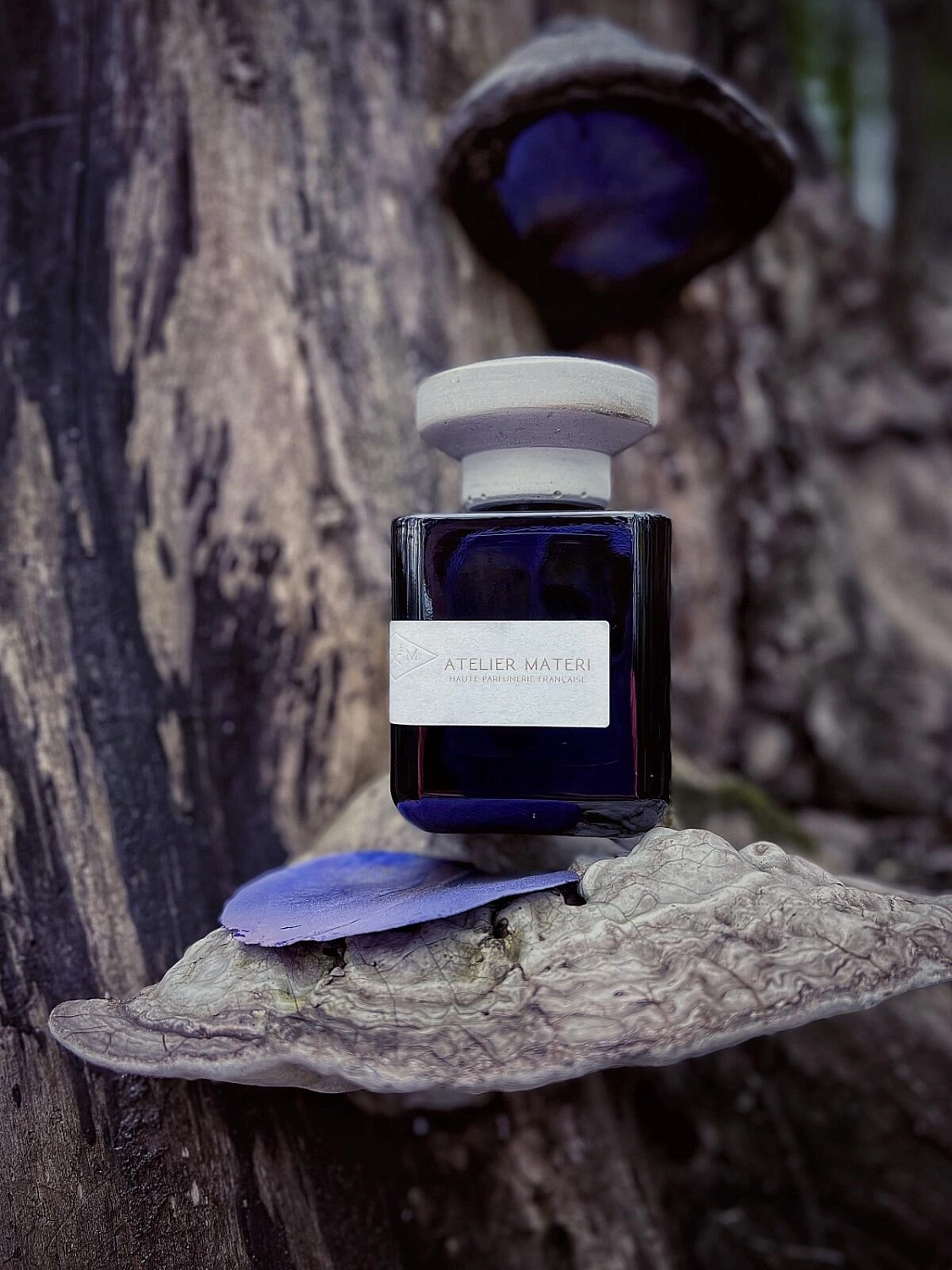 Atelier Materi Iris Ebene