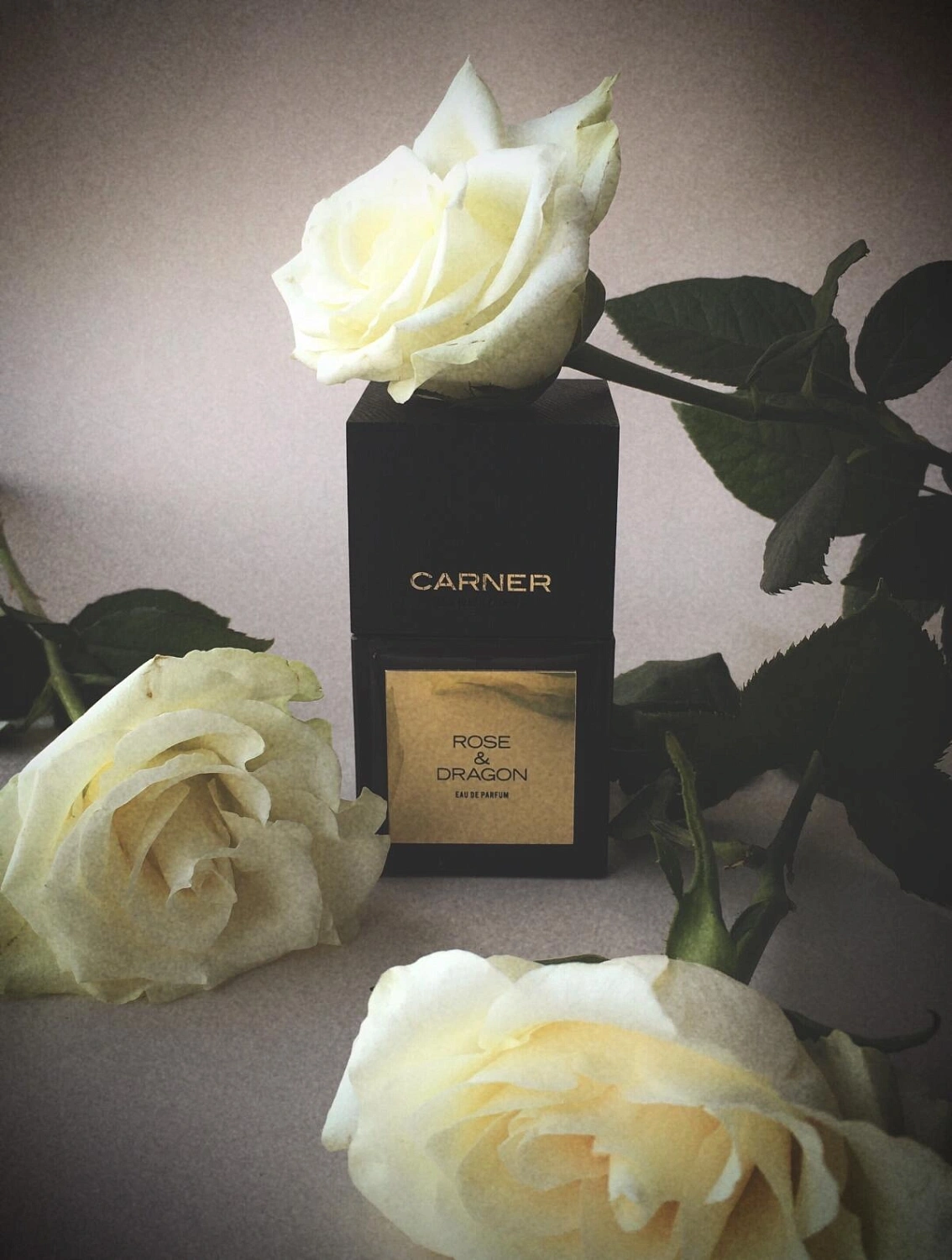 Carner Barcelona Rose & Dragon