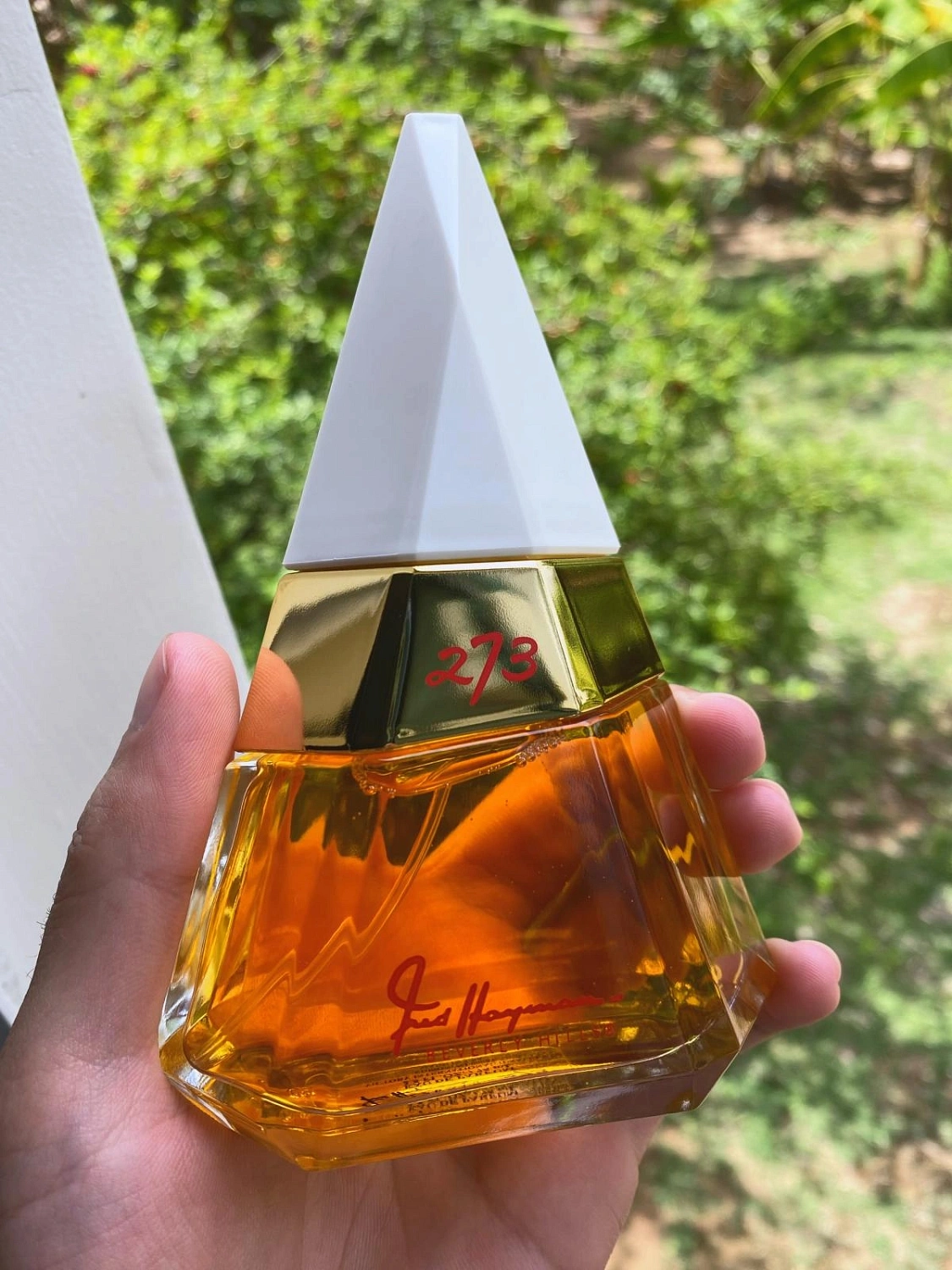 Fred Hayman 273 Red Rodeo Drive