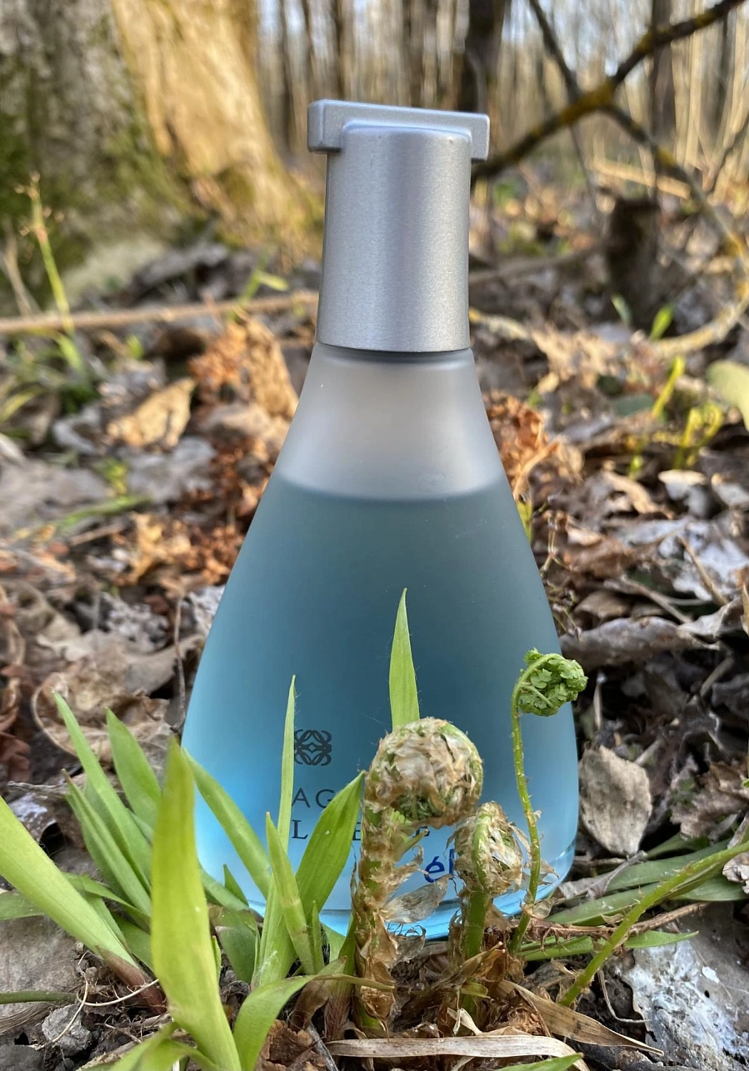 Agua de Loewe El Agua de Loewe El
