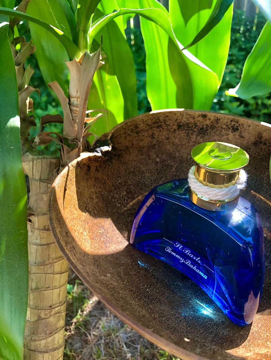 Tommy Bahama Set Sail St. Barts for Men