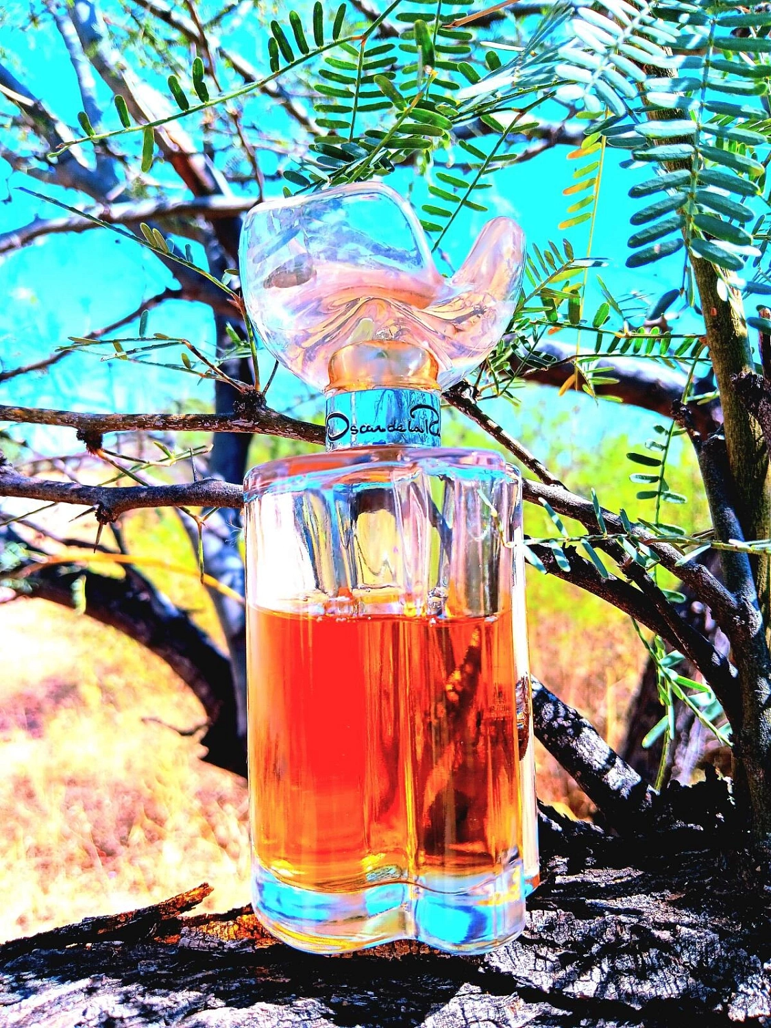 Oscar de la Renta Esprit d’Oscar