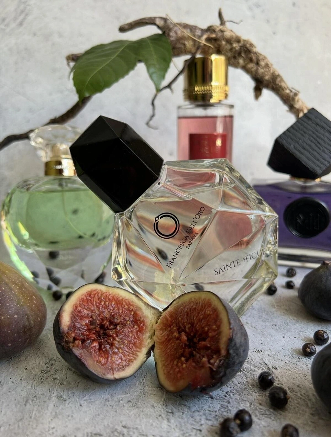 Francesca dell'Oro Sainte +Figue