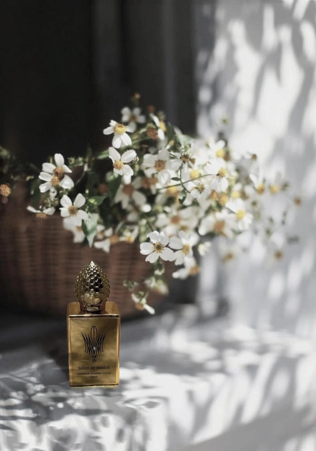 Stephane Humbert Lucas 777 Soleil de Jeddah Mango Kiss