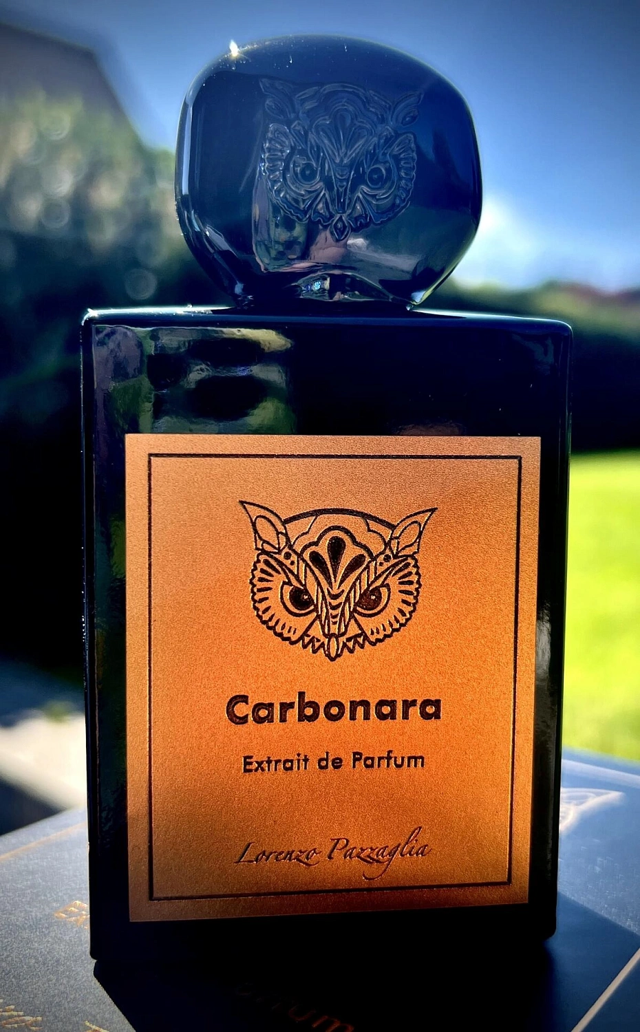 Lorenzo Pazzaglia Carbonara