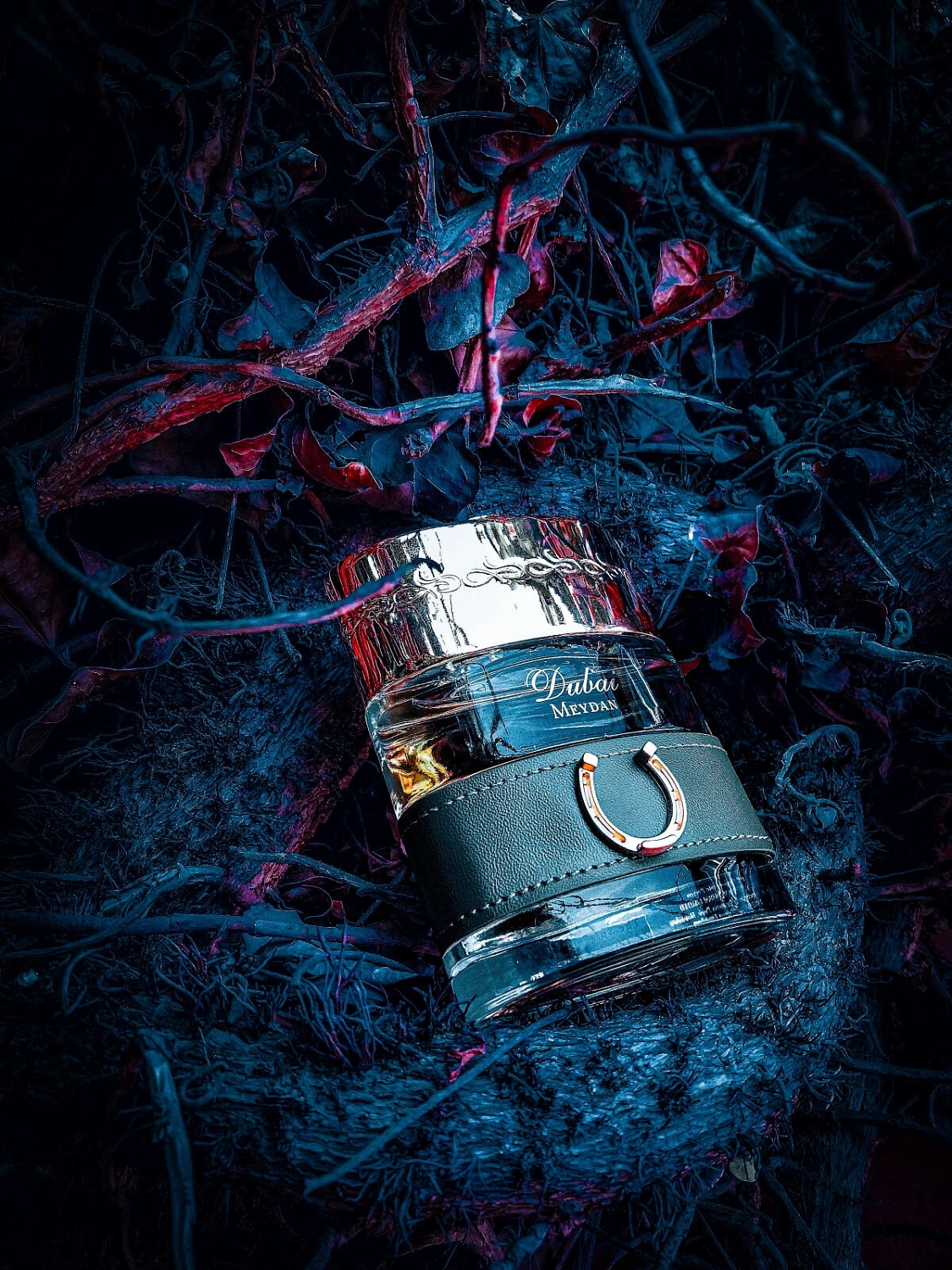 The Spirit of Dubai Meydan