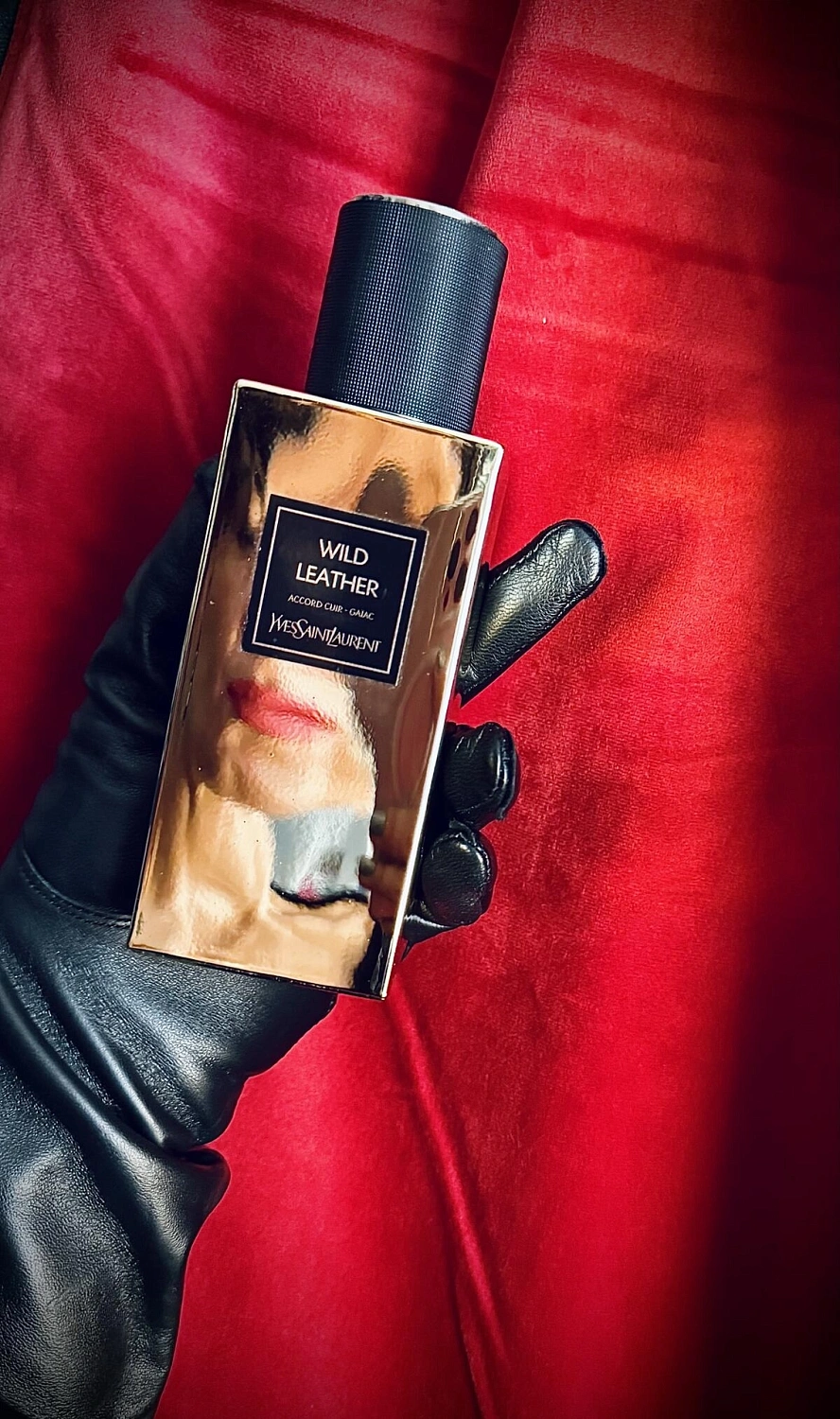 Yves Saint Laurent Wild Leather