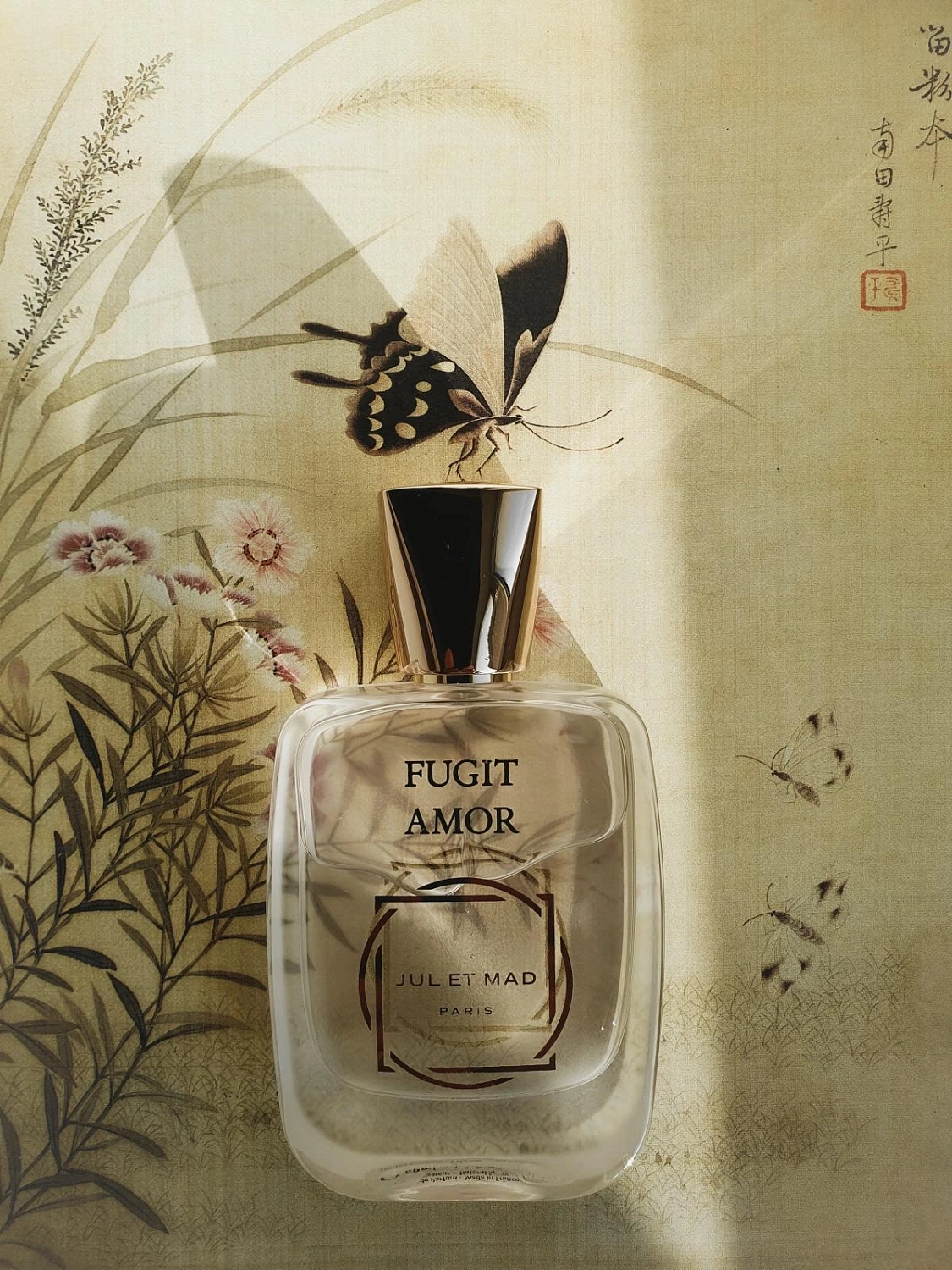 Jul et Mad Fugit Amor