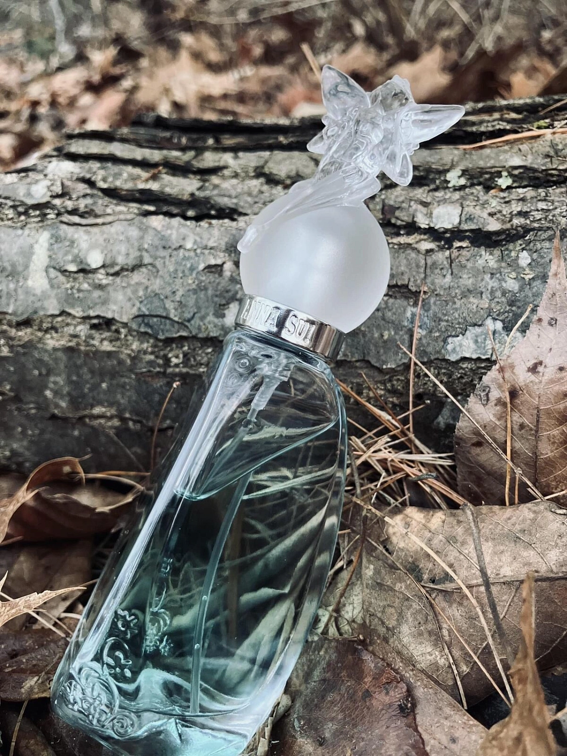 ANNA SUI Secret Wish