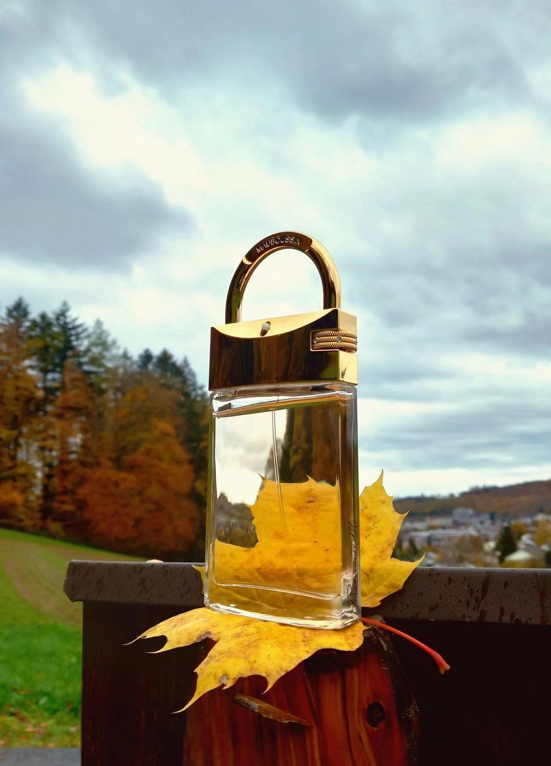 Mauboussin Promise Me