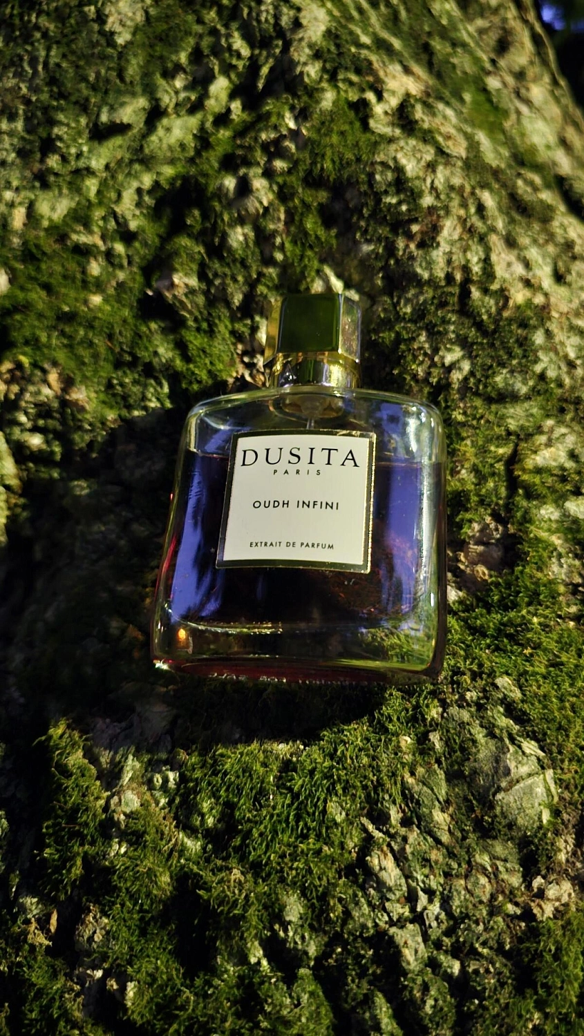 Dusita Oudh Infini
