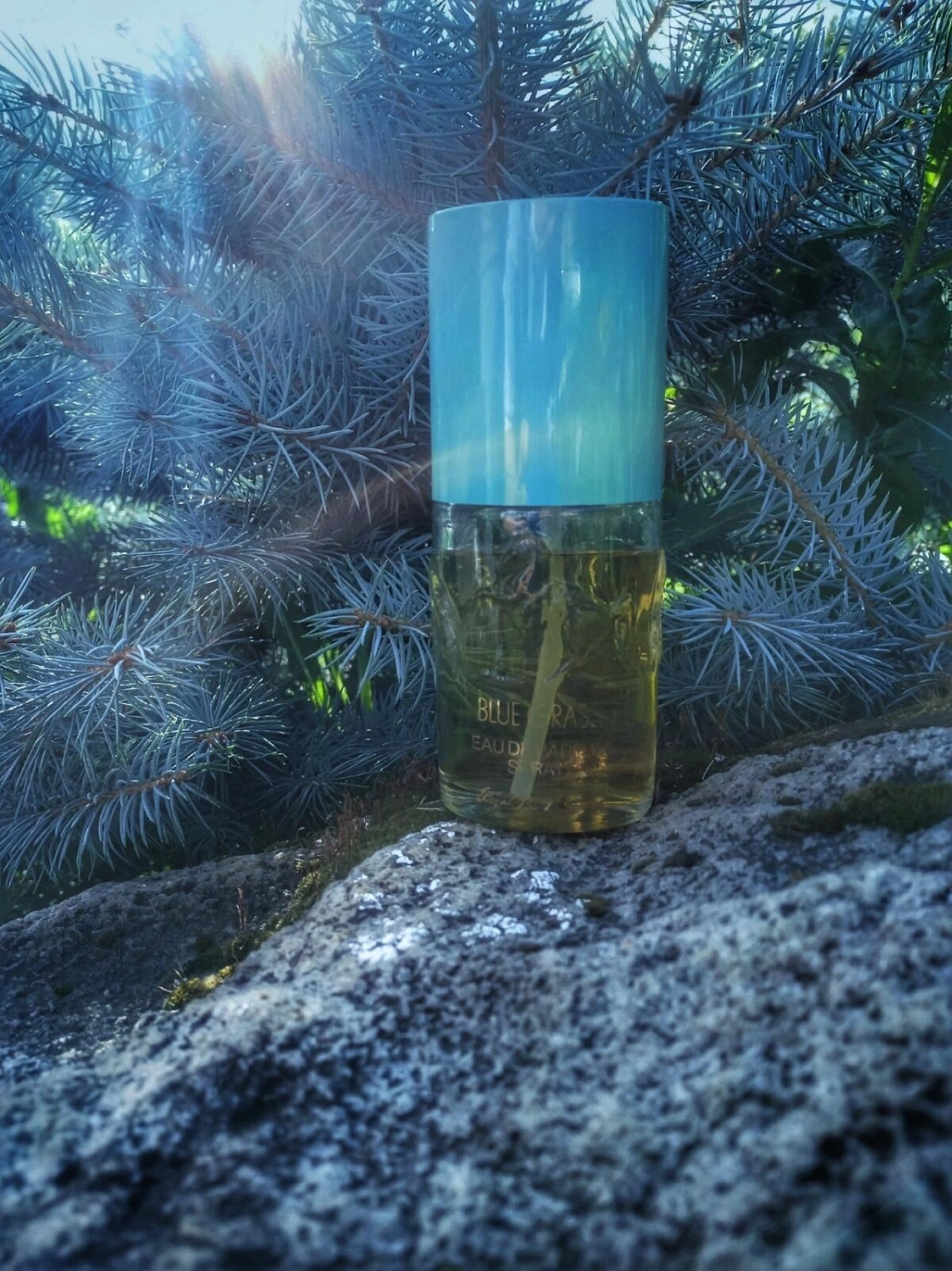 Elizabeth Arden Blue Grass Elizabeth Arden Blue Grass